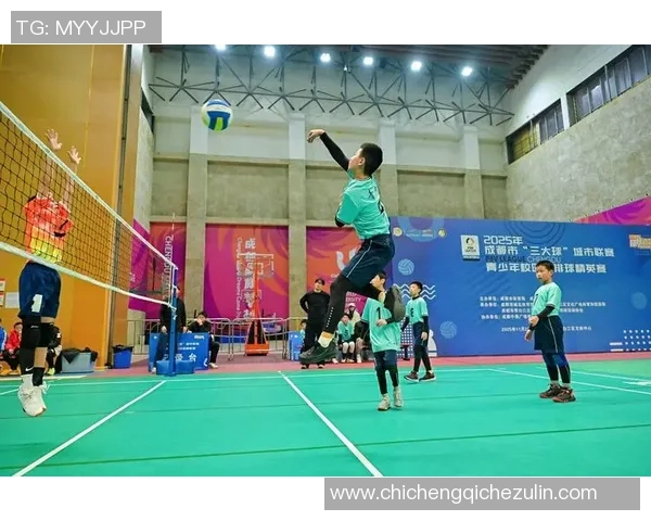 成都排球队的奋斗历程与奥运梦想的追逐之路