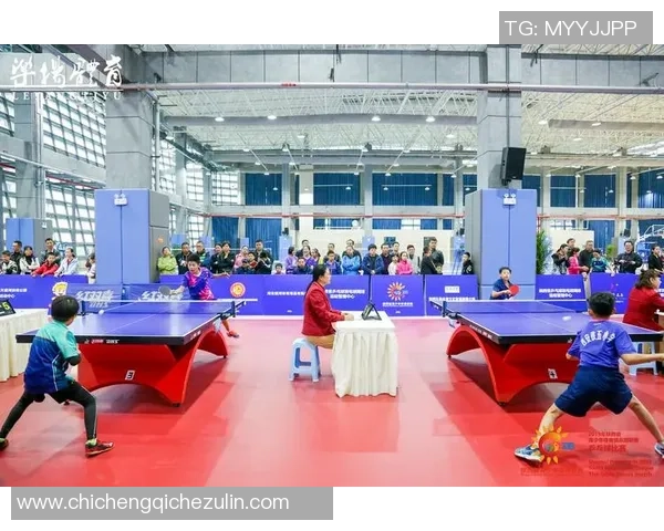 西安乒乓球队技术探讨与发展新趋势分析