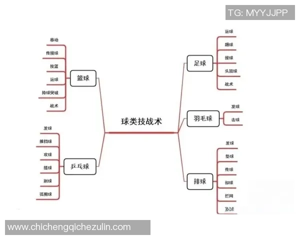 杭州篮球队灵活性对比分析揭示战术优势与发展潜力
