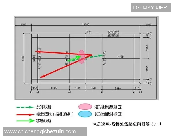 南京羽毛球队在挑战赛中的节奏表现分析与点评